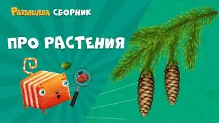 Развлечёба. Окружающий мир. Сборник про размножение растений.