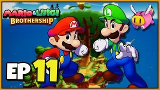 Mario & Luigi: Brothership Walkthrough Gameplay Part 11 The Better Dessert! (Nintendo Switch)