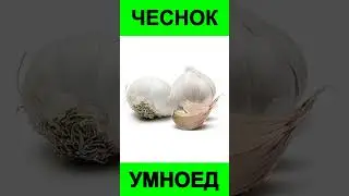 Научно проверенные средства против паразитов #наука