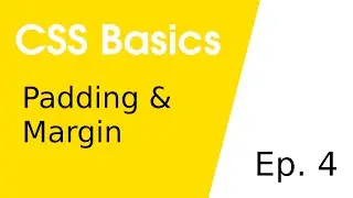 Padding & Margin • CSS Basics 4
