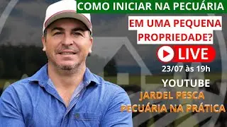 COMO INICIAR NA PECUÁRIA EM UMA PEQUENA PROPRIEDADE?