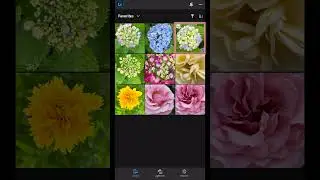 NEW! Edit from Your Camera Roll in Lightroom for Mobile | June Release | Adobe Lightroom