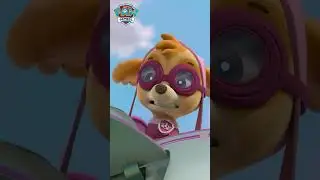 Kitty Cat Clown Car Rescue! - #PAWPatrol #shorts UK