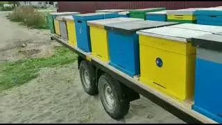 Прицепы для перевозки ульев. Крепление ульев.