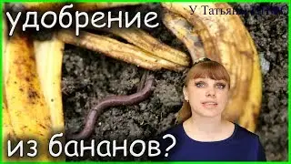 Удобрение из БАНАНОВОЙ КОЖУРЫ /шкурок/ для огородных растений!