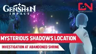 Mysterious Shadow Location Investigation at Abandoned Shrine Genshin Impact Sacrificial Offering P2