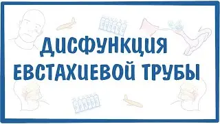 Дисфункция евстахиевой (слуховой) трубы (ДСТ) — причины, симптомы, патогенез, диагностика, лечение