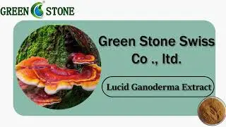 Supplier wholesale price of Lucid Ganoderma Extract Powder/Ganoderma lucidum Extract 10:1.