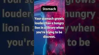 Interesting Fact About Human Body: Stomach 