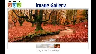 How to create image gallery using HTML, CSS and JavaScript
