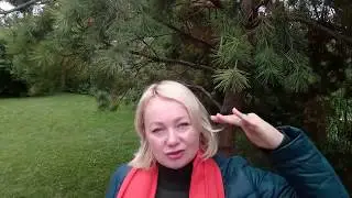 9 ЧЕРВИ. Дата рождения -30 августа, 28 сентября, 26 октября, 24 ноября, 22 декабря.