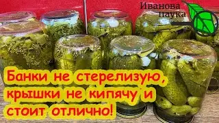 Не стерилизую банки, не кипячу крышки, а банки не взрываются. Просто я знаю один секрет.