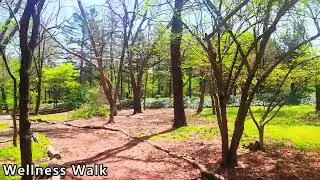[ Wellness walk ] 🌿봄 수목원길  🌿 Spring Arboretum Walk 🚶‍ 걷기와 체중 감량
