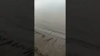 Ловим живца на р.Обь.