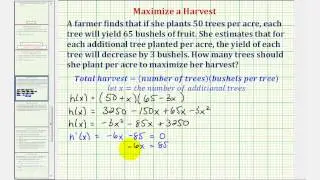 Ex: Optimization - Maximized a Crop Yield (Calculus Methods)