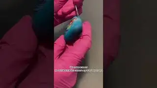Кастомные наушники с любым дизайном #airpods #аирподс #airpodspro #custom