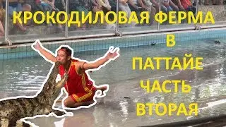 КРОКОДИЛОВАЯ ФЕРМА В ПАТТАЙЕ |  ЧАСТЬ ВТОРАЯ | ПАТТАЙЯ 2019 | ТАЙЛАНД