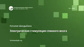 Электрическая стимуляция спинного мозга