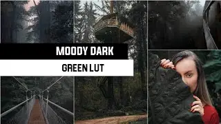 Dark Moody Lut (Green Moody Lut) For Vn Editor - Free Lut For Vn Editor | Editing Sage