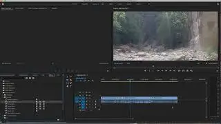 Premiere Editing Basics Final