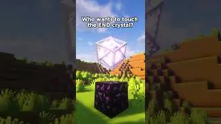 End Crystals be like #minecraft #gaming CC: @JustyIDK