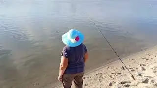 🎣Рыбалка🎣ст.Раздорская Ростовская область 12.07.23 