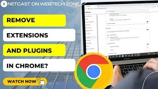 How to Remove Chrome Plugins | How Remove Extensions and Plugins in Chrome?