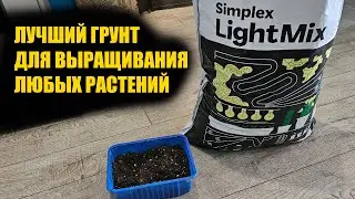 Лучший грунт для всех растений! В таком грунте растёт всё как на дрожжах!