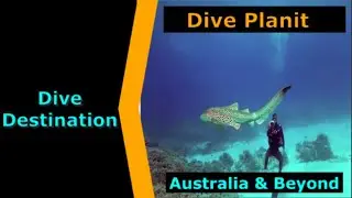 Diving Australia, DivePlanit Travel, Destination Spotlight for Scuba.Digital The #1 Online Dive Show