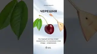 Откуда в русском языке слово "черешня"?