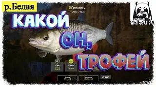 Russian Fishing4 #РР4.. р.Белая - Трофейный Голавль. Русская рыбалка 4