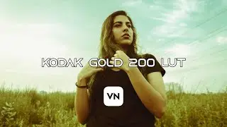 Kodak Gold 200 Lut - Free Download | Color grading with Luts on mobile (VN Video Editor)