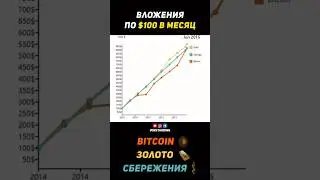 Что если бы вы инвестировали по $100 в месяц