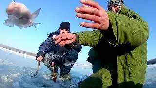 Первый лёд! Бешеный клёв крупного леща на комбайны . Рыбалка 2020 , река Обь