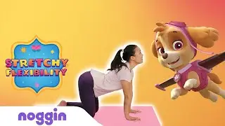 Stretchy Flexibility: Day 1: Cat Cow Pose | Noggin
