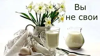 Вы не свои, вы куплены дорогой ценой; не делайтесь рабами человеков,... будьте на службе у Господа!