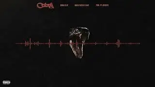 Waka Flocka Flame & Drake - Cobra Clap [Prod. JAYBeatz] 