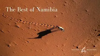 The Best of Namibia