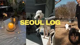 seoul log | so many dogs, favorite vegan spots, Ferments, Pinch Brunch, jazz bars