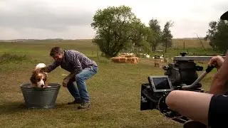 'A Dog's Purpose' Behind the Scenes