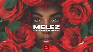 Pasha Music - MELEZ | Turkish Amapiano Saz Instrumental Type Beat