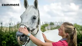 {Maladie} comment combattre l'emphysème chez le cheval ? 😢