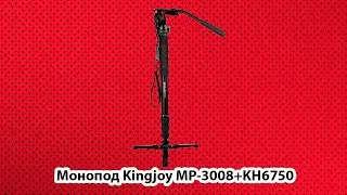 Монопод Kingjoy MP 3008+KH6750