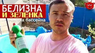 Когда позеленеет вода? Очистка бассейна - зеленка и белизна