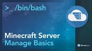 How to Manage a Minecraft Server (Java Basics) - Server.pro