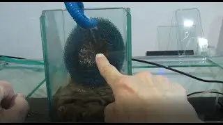 ИЗОБРЕТАЕМ ФИЛЬТР ДЛЯ АКВАРИУМА