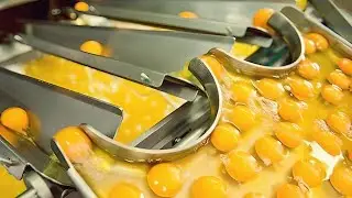 Food Production Factory Will Surprise You - Food Industry Machines With Incredible Technology