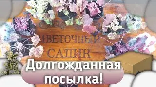 Долгожданная посылка. Доставка укрпочтой.