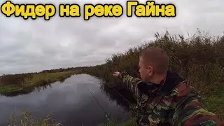 Рыбалка в Беларуси - Рыбалка на реке Гайна