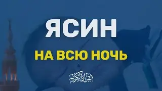 ЯСИН НА ВСЮ НОЧЬ - НОВИНКА 2024